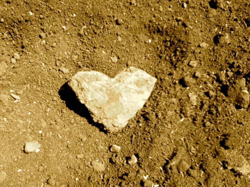 Passionate raking turns up love...